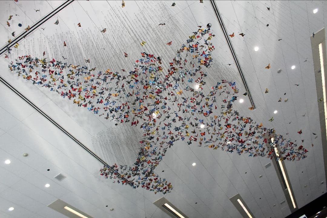 "Mirare" by Stu Schechter - Photo