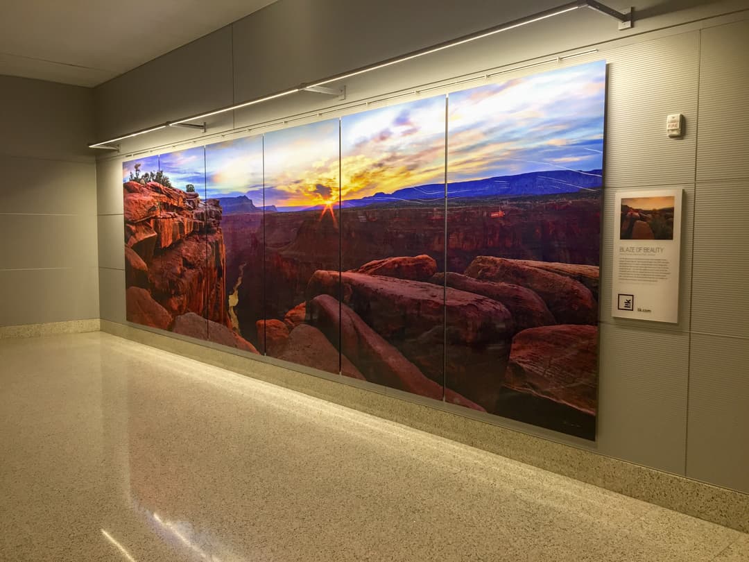 "Blaze of Beauty" by Peter Lik Photo
